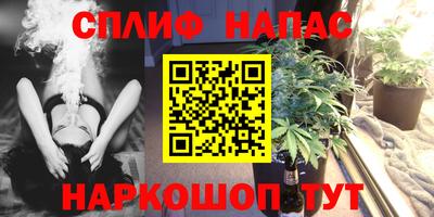 дживик Нальчик
