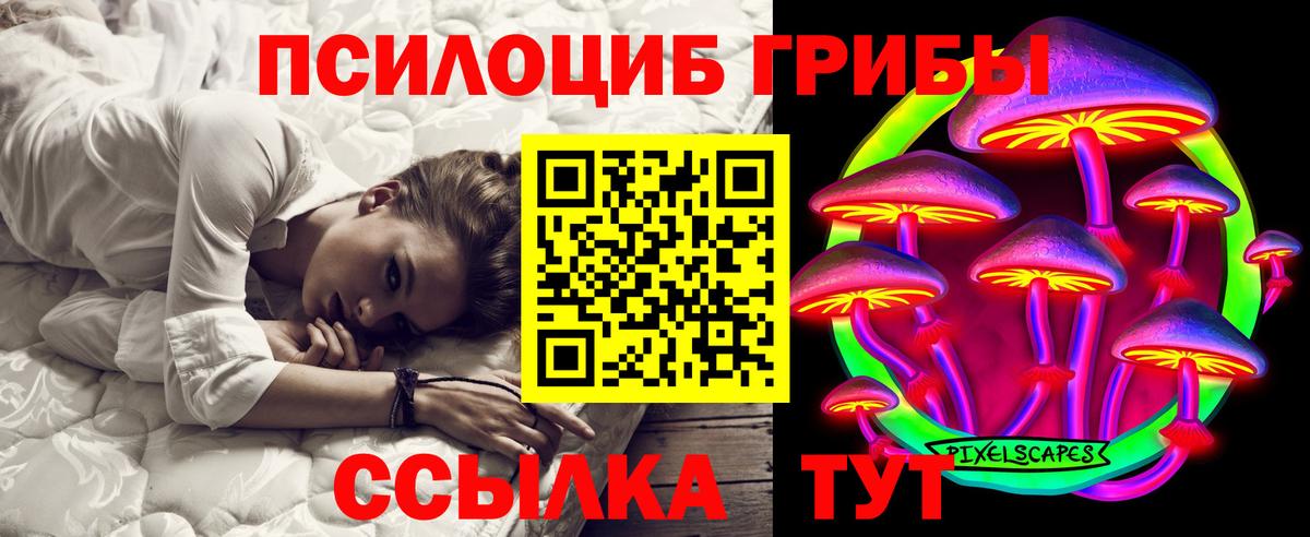 Унеча  Галлюциногенные грибы прущие грибы  Вход с VPN 