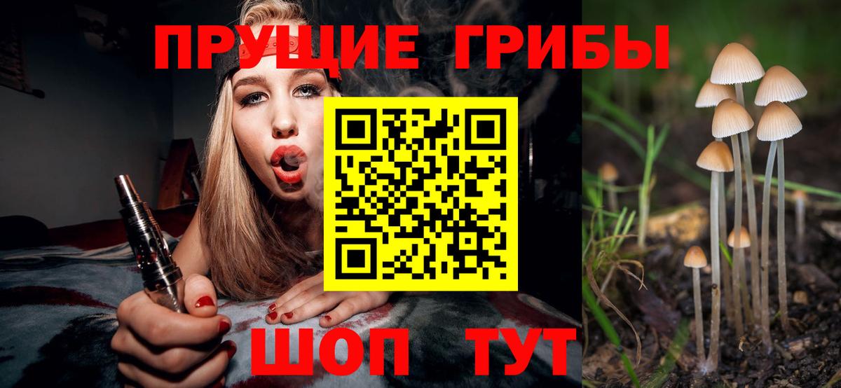 Псилоцибиновые грибы мухоморы Унеча